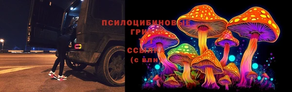 герыч Вязьма