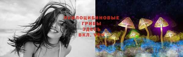 герыч Вязьма