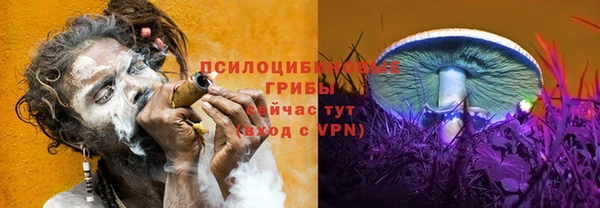 тгк Вязники